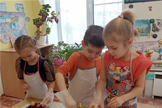 Посадили мы лучок