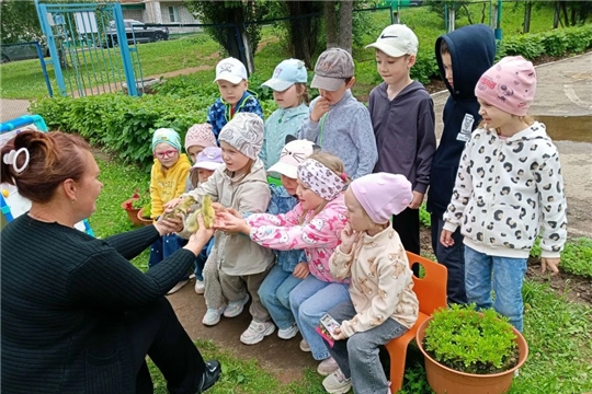 Юные исследователи