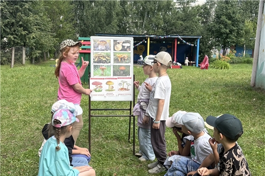 "Грибы: съедобные и несъедобные"