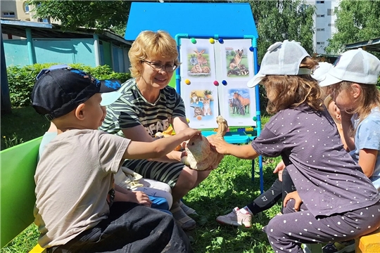 «Мы в ответе за тех, кого приручили»