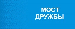 Муниципальный проект «Мост дружбы»