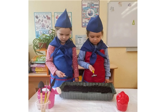 Акция «Зелёный подоконник»
