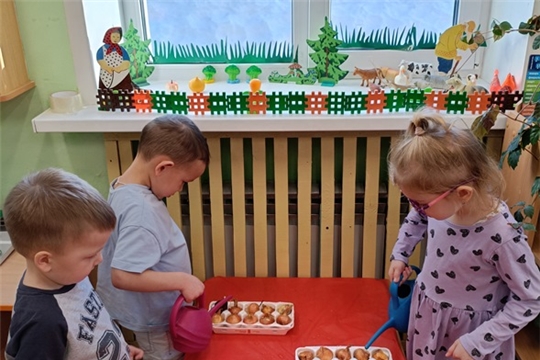 Огород на подоконнике