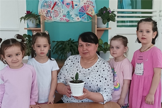 Цветок для ветеранов