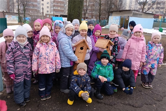 Домики для скворцов