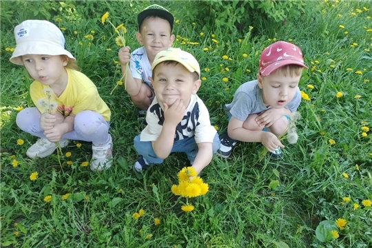 Чудо-одуванчик