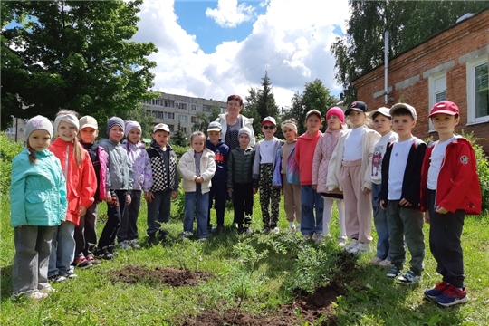 Аллея выпускников - 2026: группа "Сказка"