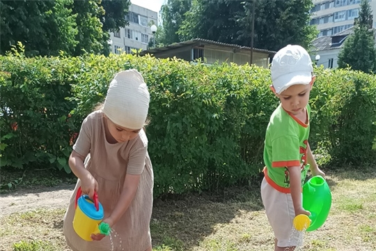 Ухаживаем за цветами на клумбе