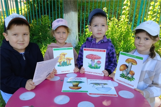 Чем опасны грибы