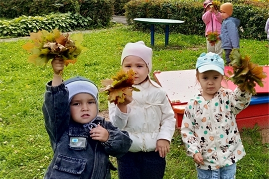 Первые осенние букеты