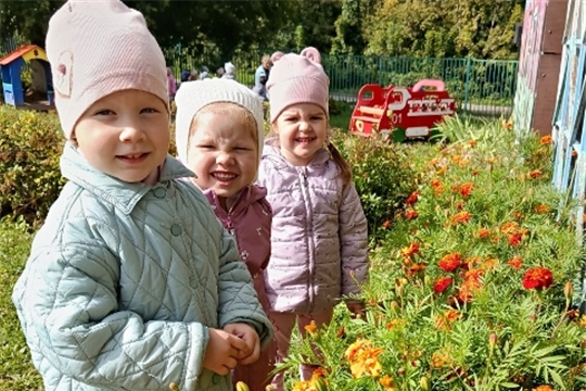 Наблюдение за цветами