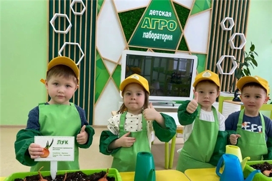 Витамины на подоконнике