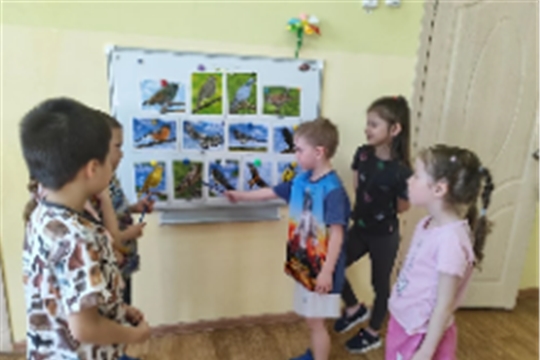 Международный день птиц