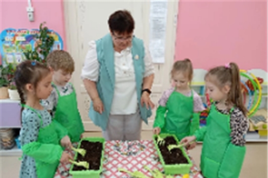 Огород на подоконнике