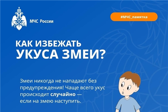 Безопасное лето