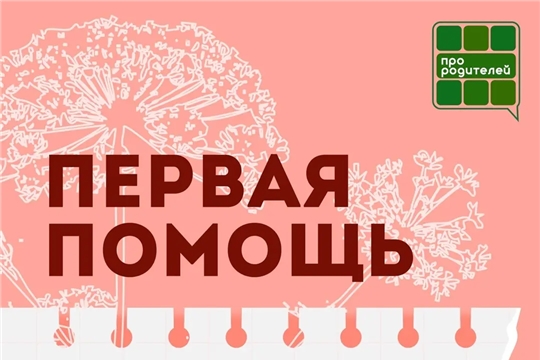 Не обожгись: главные правила безопасности с борщевиком