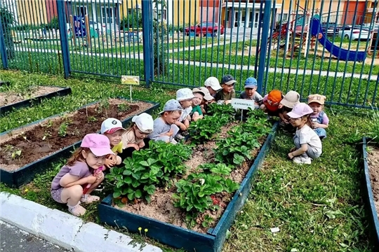 18 июня отмечается день клубники.