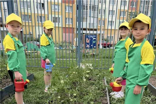 Юные аграномы осваивают азы сельскохозяйственного труда