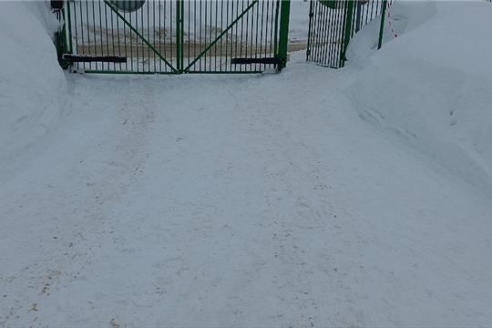 благоустройство 24.02.2026
