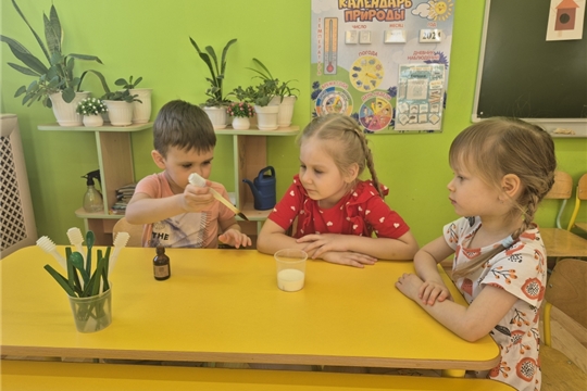 Увлекательные эксперименты о свойствах продуктов