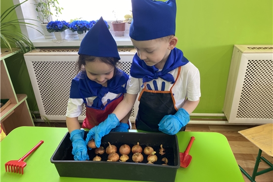 Акция "Зелёный подоконник"