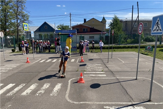 Правила дорожные знать каждому положено! 