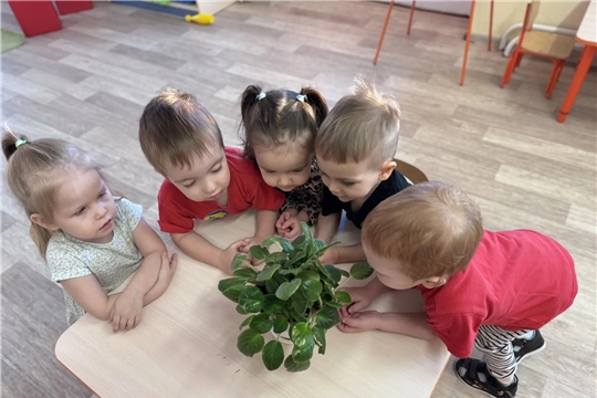 Трудовое воспитание в первой младшей группе