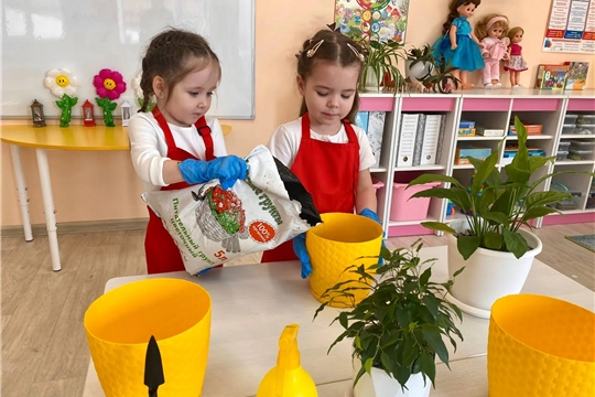 Забота о комнатных растениях