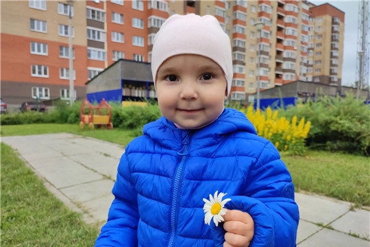 День ромашки