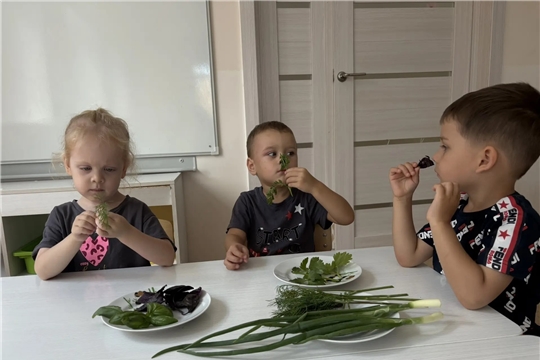 Полезная зелень