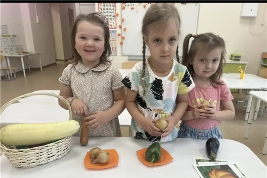 Овощи сентября