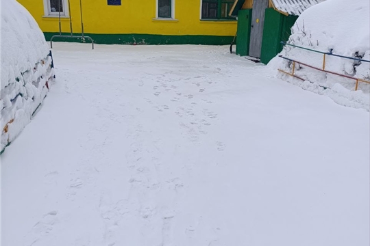 Благоустройство территории.