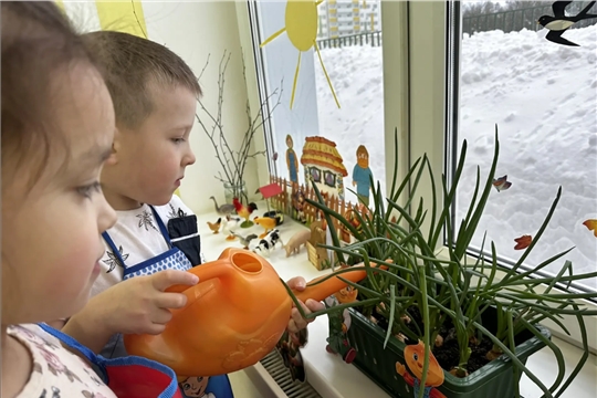 Работа в огородике на окне