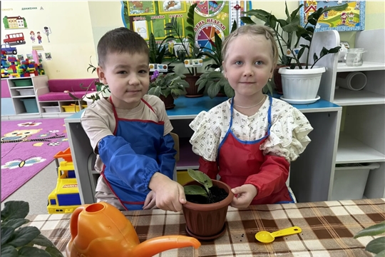 Цветок ветерану