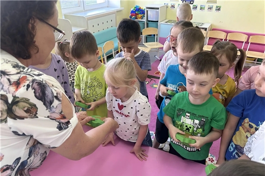 Почему ель, сосна и можжевельник вечно зелёные