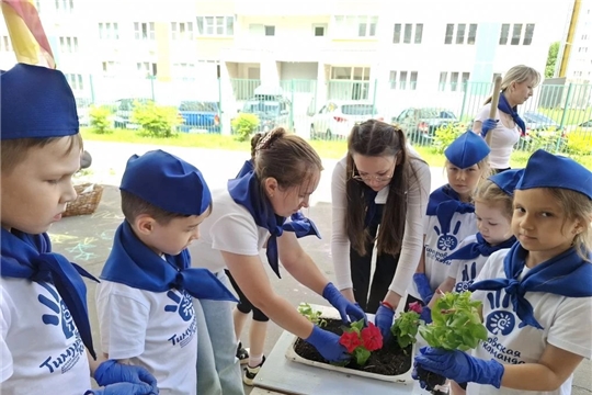 Акция "Цветущее детство"