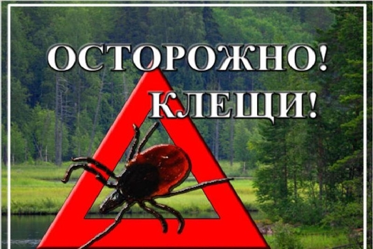 Опасные клещи.