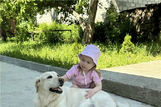 Всемирный день собак.