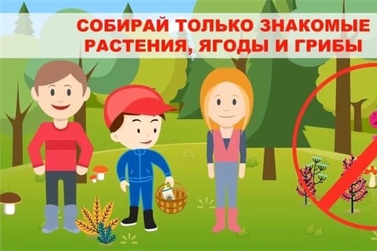 Безопасные прогулки в лесу и парке.