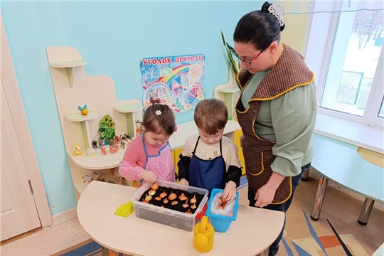 Посадка лука. 