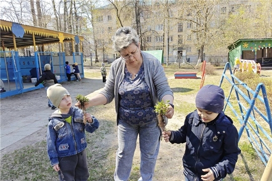 Ботаническая экскурсия: погружение в флористический мир.