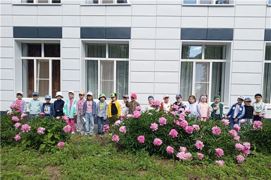 Июнь — месяц, когда город тонет в цветах.