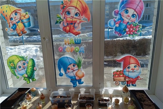 Огород на подоконнике