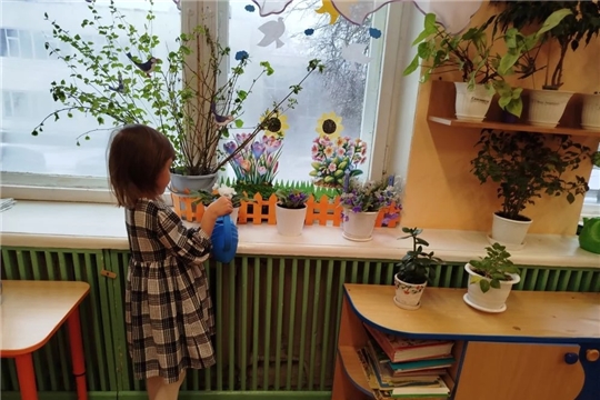 Огород на подоконнике