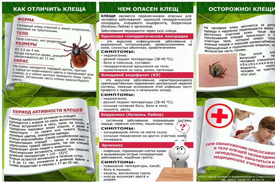 Осторожно: Клещи!