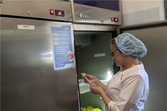 Вопросы хранения продуктов в летний период