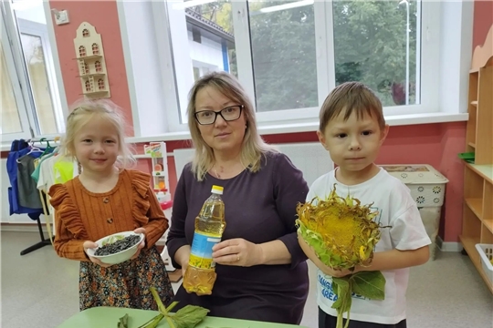 Познавательная беседа «Солнечный цветок»: наблюдаем за подсолнухом