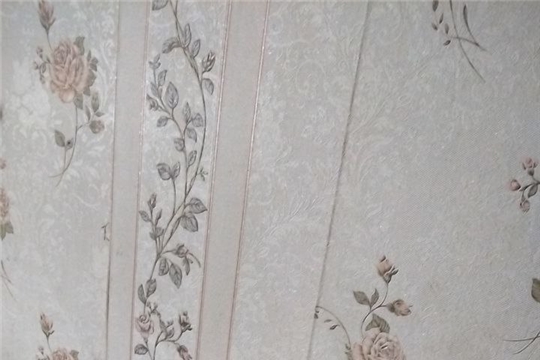 Выходы в семьи СОП