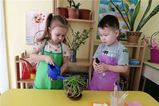 Уход за комнатными растениями