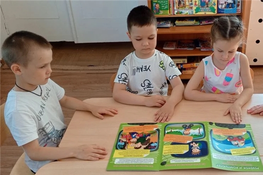 Знакомство с профессией программист.